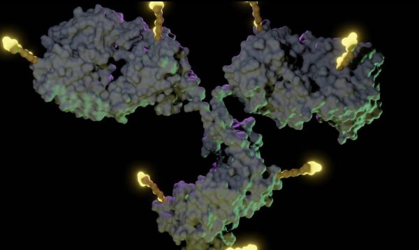 股点网 半年盘点｜中国创新药迎DeepSeek一刻，对外授权规模激增