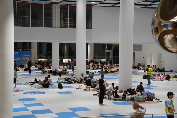 稳拿证券 “竹节草”将登陆！风雨中，临港为工人兄弟筑起温暖的家