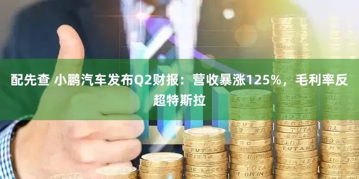 配先查 小鹏汽车发布Q2财报：营收暴涨125%，毛利率反超特斯拉